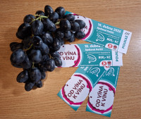 /album/od-vina-k-vinu/vstupenky-od-01-04-2026-jpg/